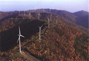 Buffalo Mountain Wind Energy Project fall image