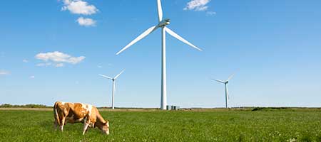 Wind energy consulting
